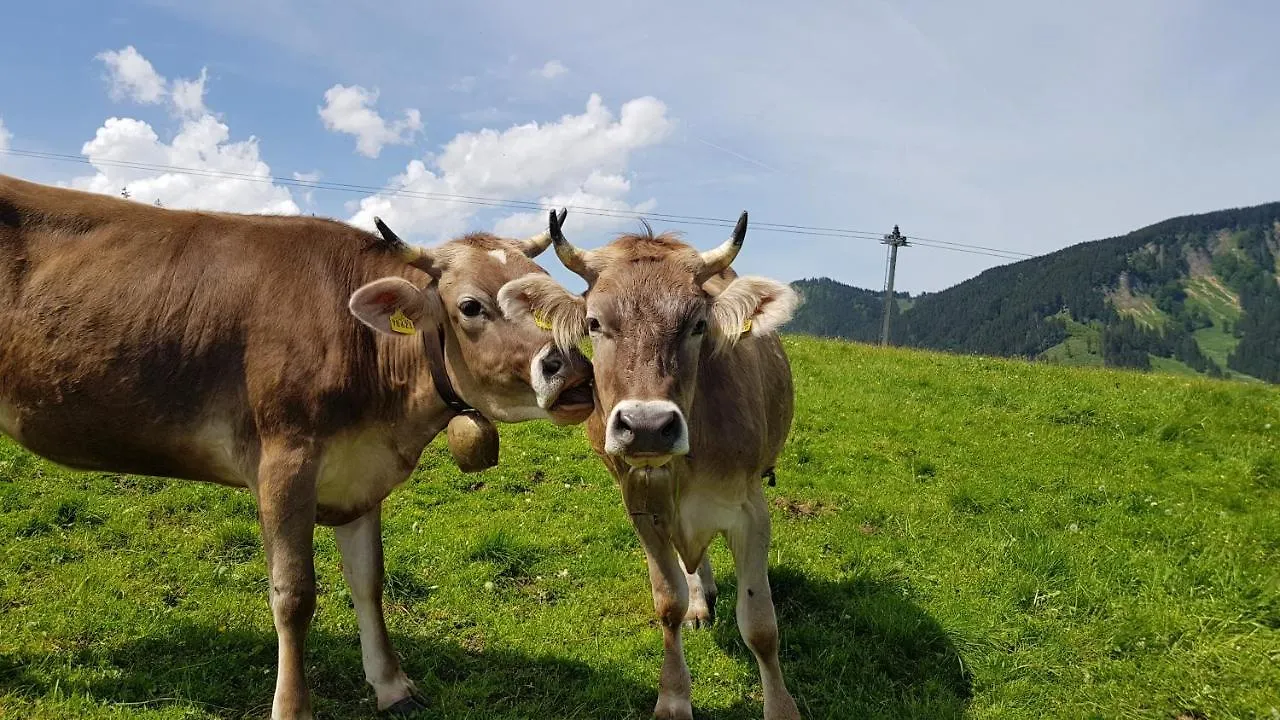 Mondi Resort Und Chalet Oberstaufen
